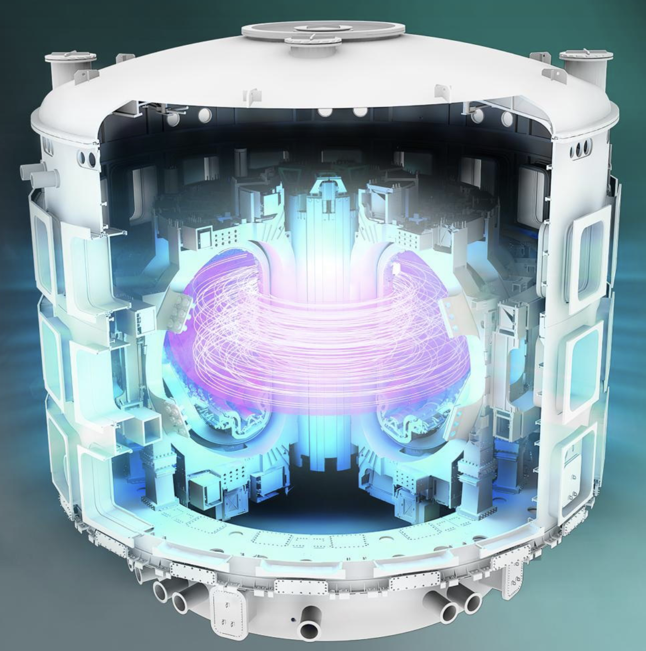 Tokamak